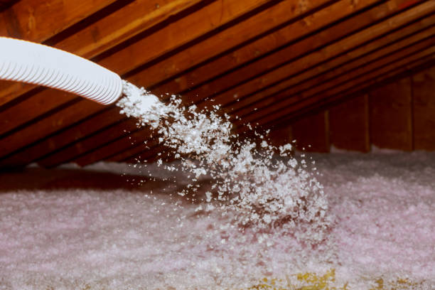 Professional Insulation Contractor in IA