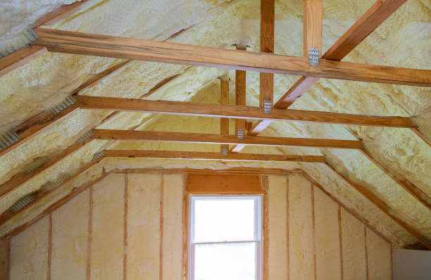 Best Energy Efficiency Solutions in Camanche, IA