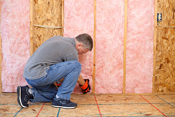 Best Insulation Maintenance and Repair in Camanche, IA